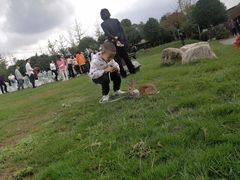 -洪湖家庭农场·团建·露营·会议