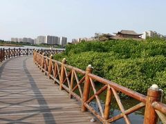 -洋湖国家湿地公园