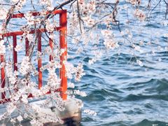 -颐和园