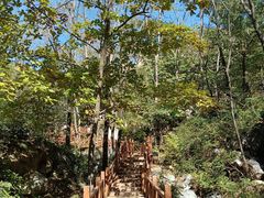 -大岭沟猕猴桃谷风景区