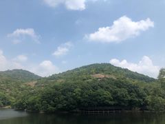 -白马涧龙池景区