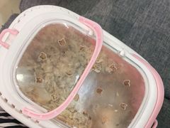 -雨林宠物医院 非犬猫异宠专科