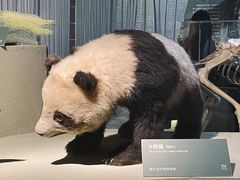 -深圳博物馆历史民俗馆