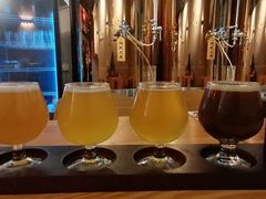 -玩啤国度精酿啤酒(宝山店)