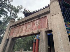 -关林