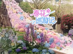 -南宁南湖公园