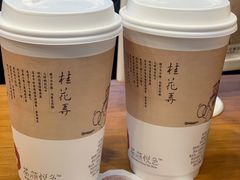 -茶颜悦色(岳麓山顶店)