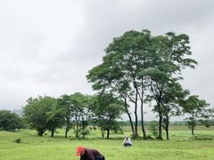 -盘龙城国家考古遗址公园