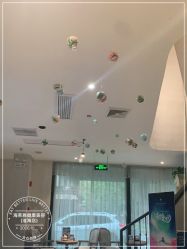 -海茱雅科技健康美容