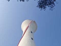 -红树林天天赶海