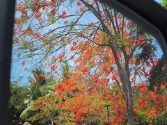 -海南鉴湖蓝湾高尔夫球会