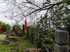 -南山植物园