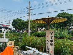 -丫丫蟹庄·苏式园林农家乐·阳澄湖大闸蟹(阳澄湖莲花岛店)