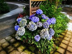 -证大大拇指广场(芳甸路店)