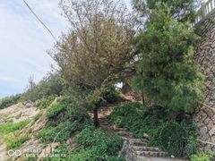 -三姐妹·海鲜大排档