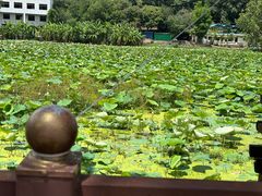 -曼丢傣家古寨