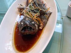 -湖影中餐厅·南京金茂威斯汀大酒店