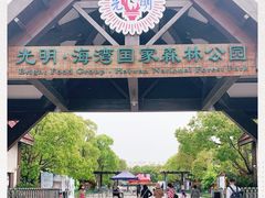 -上海海湾国家森林公园