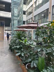 -大连棒棒糖儿童摄影(熊洞街店)