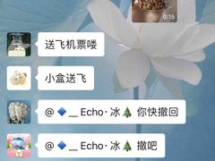 -盒马X会员店(上海森兰商都店)