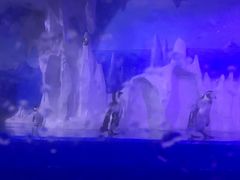 -多彩贵州城极地海洋世界