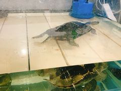 -甜心闲生传统手工冰粉(奎星楼店)
