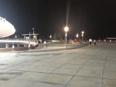 -演武大桥观景平台