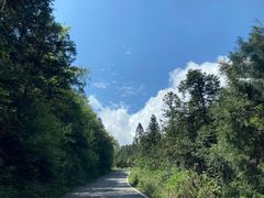 -武陵山森林公园