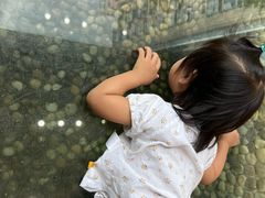 -蒙蒙狮蒙台梭利儿童之家