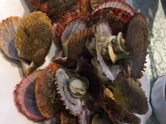 -小鱼儿海鲜港(新村十区店)