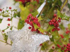 -1/4 ONE QUARTER COFFEE LAB(朝阳大悦城店)