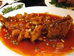 松鼠桂鱼-老正兴菜馆(福州路店)