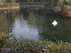 -长白岛森林公园