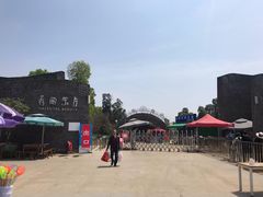 -秀丽东方