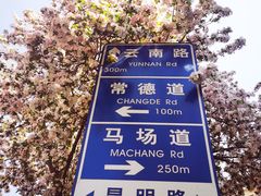 -天津五大道文化旅游区