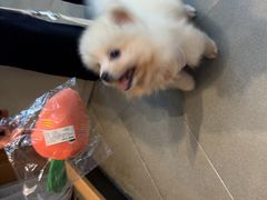 -联合动物医院(光谷诊疗中心)