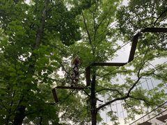 -紫金山索道-售票处