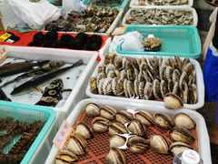-海儀美食楼(湾仔海鲜街店)