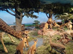 -国家自然博物馆