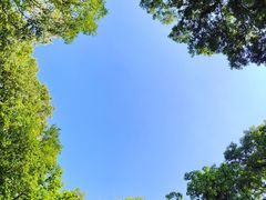 -句容茅山景区