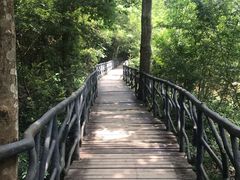 -龙湾潭国家森林公园
