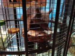 -酷嗒动物文化乐园(cutezoo西溪乐天城店)