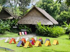 -大象粑粑造纸公园