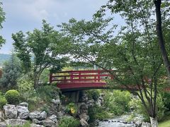 -羊山湖公园