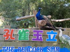 -宁波野生动物园