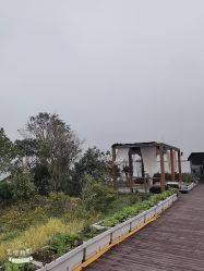 -小蜜蜂农场(凯德七宝购物广场店)