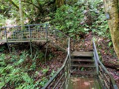 -云南屏边大围山国家公园