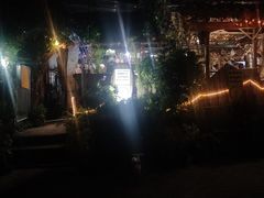 -Jungle Kitchen