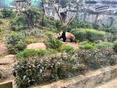 -石排湾郊野公园