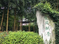 -十八棵（老龙井）御茶园(老龙井店)
